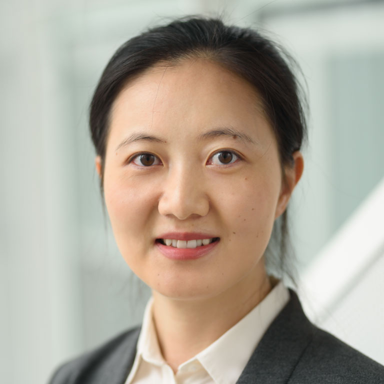 Wenyi Xia Wenyi Xia
